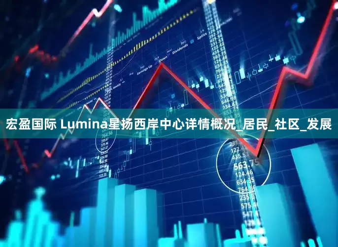 宏盈国际 Lumina星扬西岸中心详情概况_居民_社区_发展