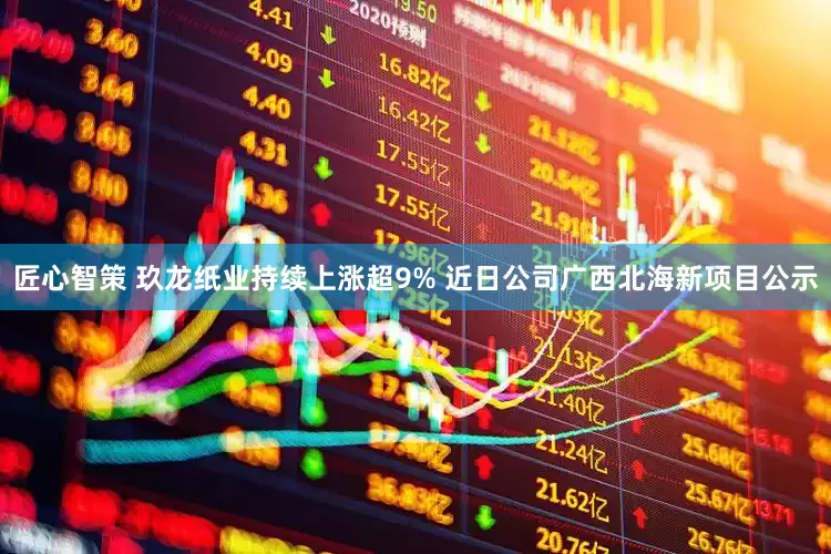 匠心智策 玖龙纸业持续上涨超9% 近日公司广西北海新项目公示
