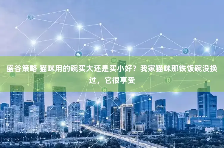 盛谷策略 猫咪用的碗买大还是买小好？我家猫咪那铁饭碗没换过，它很享受