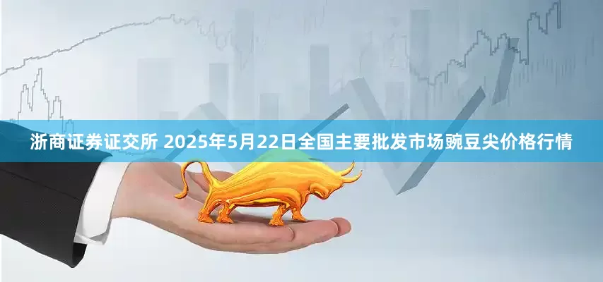 浙商证券证交所 2025年5月22日全国主要批发市场豌豆尖价格行情