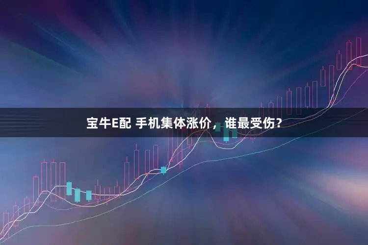 宝牛E配 手机集体涨价，谁最受伤？